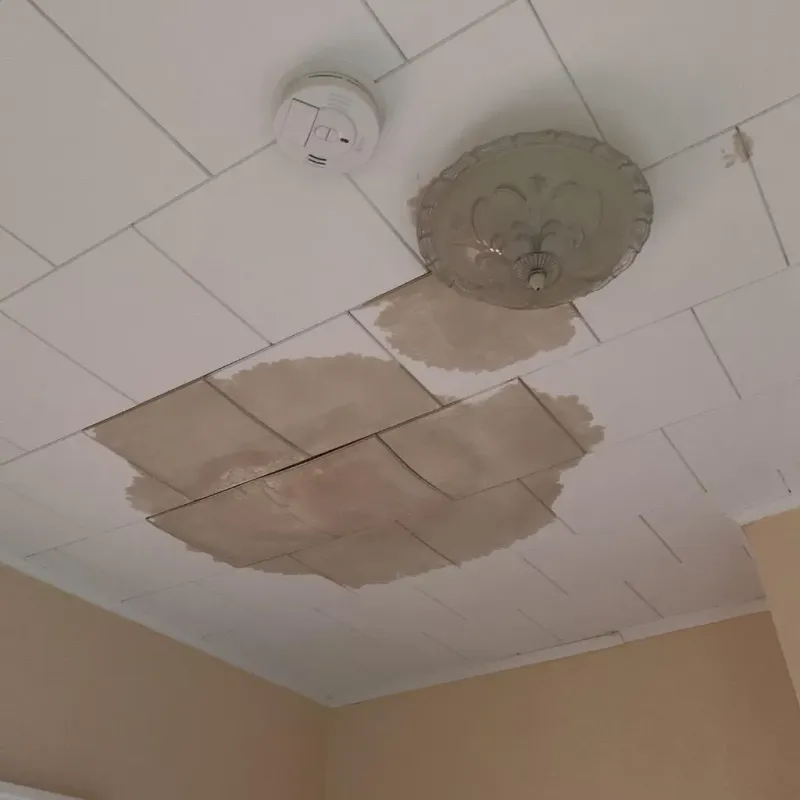 Ceiling Water Damage Repair in Saint Johns, MO
