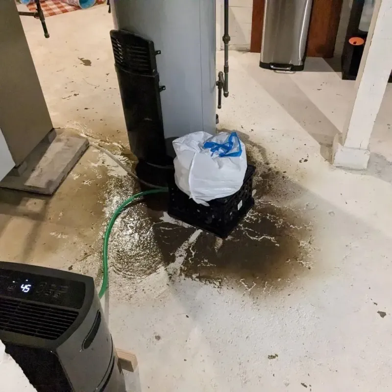 Sewage Backup Cleanup Service in Saint Johns, MO